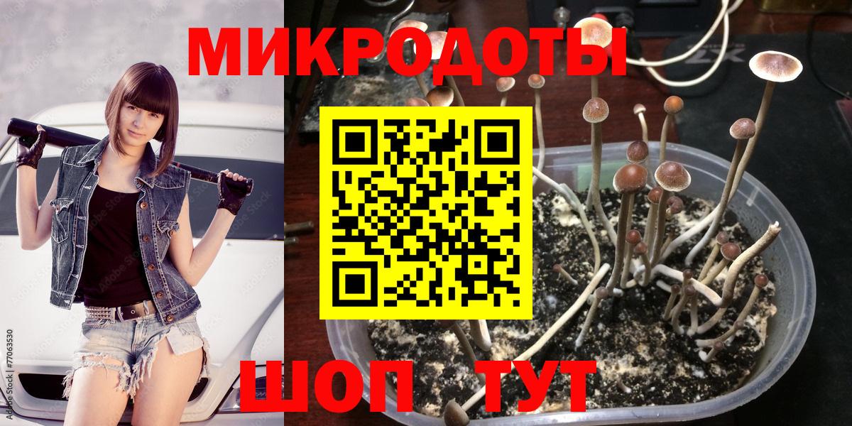 Галлюциногенные грибы прущие грибы  Северодвинск 