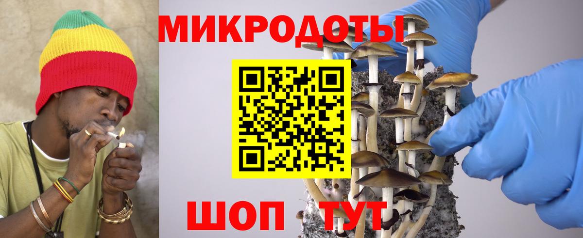 Галлюциногенные грибы ЛСД Северодвинск